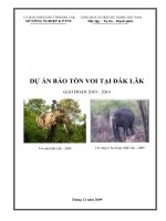 DỰ ÁN BẢO TỒN VOI TẠI ĐĂK LĂK