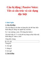 CÁCH LÀM CÂU BỊ ĐỘNG TIẾNG ÁNH VÀ  80 BÀI TẬP CÓ ĐÁP ÁN CHI TIẾT