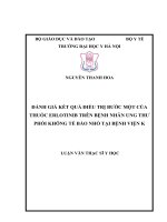ĐÁNH GIÁ KẾT QUẢ ĐIỀU TRỊ BƯỚC MỘT CỦA THUỐC ERLOTINIB TRÊN BỆNH NHÂN UNG THƯ PHỔI KHÔNG TẾ BÀO NHỎ TẠI BỆNH VIỆN K