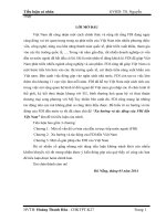 TIEU LUAN KINH TE QUOC TE Xu hướng và tác động của FDI đến Việt Nam