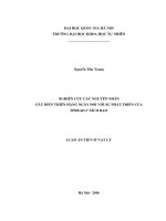 Nghiên cứu các nguyên nhân gây biến thiên hàng ngày đối với sự phát triển của spread f xích đạo 
