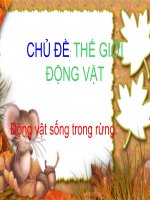 Tiet 12 dạy kiến thức môi trường cho bé lớp 4 về  dong vat song trong rung 