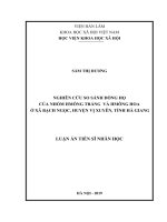 NGHIÊN CỨU SO SÁNH DÒNG HỌ CỦA NHÓM HMÔNG TRẮNG VÀ HMÔNG HOA Ở XÃ BẠCH NGỌC, HUYỆN VỊ XUYÊN, TỈNH HÀ GIANG