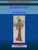 Tiet 08 dạy bé lớp 3 học  cay tao do 