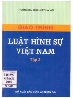 Giáo trình luật hình sự việt nam  tập 2 