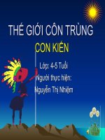 Tiet 19   dạy kiến thức môi trường cho bé lớp 4 về con kien 