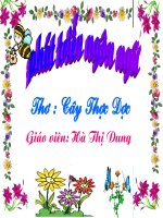 Tiet 15 dạy kiến thức môi trường cho bé lớp 4 về cay thuoc duoc 