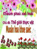 Tiet 04 dạy bé lớp 3 môn tự nhiên  the gioi thuc vat  muon hoa khoe sac 