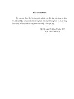 Hoàn thiện hoạch định chiến lược kinh doanh Bất động sản của Công ty cổ phần đầu tư Bất động sản Hà Nội