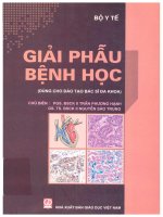 Giải phẫu bệnh học    dùng cho đào tạo bác sĩ đa khoa 