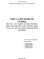 BÀI TIỂU LUẬN KINH tế LƯỢNG CÁC NHÂN TỐ ẢNH HƯỞNG ĐÊN CHI PHÍ MUA GẠO TRUNG BÌNH CỦA CÁC HỘ GIA ĐÌNH THÀNH PHỐ ĐÀ NẴNG