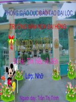 Tiet 13 dạy kiến thức môi trường cho bé lớp 4 về  tim hieu ve dien 