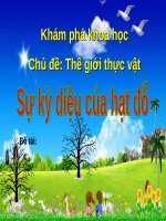 Tiet 07 dạy bé lớp 3 môn tự nhiên  su ky dieu cua hat do 