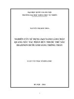Nghiên cứu sử dụng zno nano làm chất quang xúc tác phân hủy thuốc trừ sâu diazinon dưới ánh sáng trông thấy 