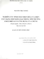 Nghiên cứu tính chất điện hoá của điện cực dạng oxit kim loại trong môi trường chất điện li và ứng dụng của chúng   luận án TS  hóa học   62 34 31 01 
