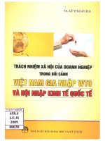 Trách nhiệm xã hội của doanh nghiệp trong bối cảnh việt nam gia nhập WTO và hội nhập kinh tế quốc tế 