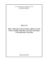BÁO CÁO ĐIỀU CHỈNH QUY HOẠCH PHÁT TRIỂN NGÀNH CÔNG NGHIỆP TỈNH BẮC KẠN ĐẾN NĂM 2020, TẦM NHÌN ĐẾN NĂM 2030