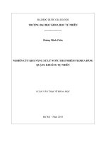Nghiên cứu khả năng xử lý nước thải nhiễm Florua bằng quặng khoáng tự nhiên