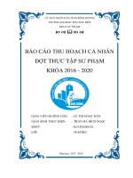 Báo cáo thực tập khoa Sư phạm ngành Giáo dục tiểu học trường ĐH Thủ Dầu Một, Bình Dương
