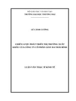 Chiến lược phát triển thị trường xuất khẩu của Công ty cổ phần giầy da Thái Bình