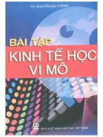 Bài tập kinh tế học vi mô (dành cho sinh viên khối quản trị kinh doanh) 