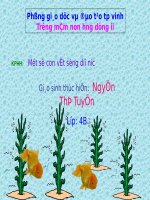 Tiet 04. dạy cho bé 4 tuổi Con vat song duoi nuoc