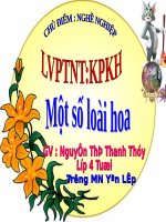 Tiet 09 dạy bé 4 tuổi  mot so loai hoa 