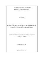 Nghiên cứu thực nghiệm ứng xử của khung bê tông cốt thép bị cháy chịu tải ngang