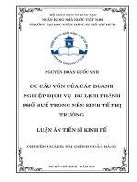 Cơ cấu vốn của các doanh nghiệp dịch vụ du lịch thành phố huế trong nền kinh tế thị trường 