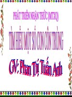 Tiet 11 dạy kiến thức môi trường cho bé lớp 4 về  mot so con con trung 