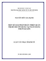 Một số giải pháp hoàn thiện quản trị rủi ro tín dụng tại ngân hàng TMCP sài gòn 