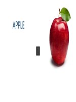 Từ vựng tiếng Anh  Trái cây