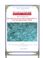 Nhà máy sản xuất thủy tinh lỏng và các sản phẩm thủy tinh tỉnh Quảng Bình  PICC  www.lapduandautu.vn 0903034381