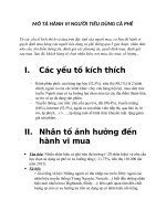 MÔ TẢ HÀNH VI NGƯỜI TIÊU DÙNG CÀ PHÊ