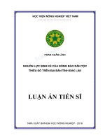 NGUỒN LỰC SINH KẾ CỦA ĐỒNG BÀO DÂN TỘC THIỂU SỐ TRÊN ĐỊA BÀN TỈNH DAK LAK. LUAN AN TIEN SI