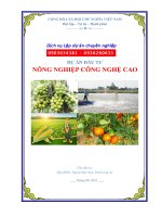 Nong nghiep cong nghe cao - Long An - picc