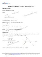 1  định lý ta let trong tam giác 