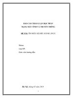 BÁO CÁO THẢO LUẬN HỌC PHẦN MẠNG MÁY TÍNH VÀ TRUYỀN THÔNG ,TÌM HIỂU HỆ ĐIỀU HÀNH LINUX