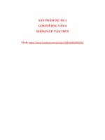 ĐỀ THI HỌC SINH GIỎI MÔN NGỮ VĂN 8