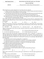   đề chuẩn cấu trúc sinh 2020 (đề 1) 