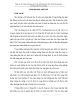 SKKN công tác tham mưu xây dựng cơ sở vật chất bằng hình thức xã hội hóa giáo dục 