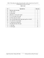 SKKN một số biện pháp xây dựng môi trường lấy trẻ làm trung tâm tại lớp chồi 1 trường mầm non hoa pơ lang 