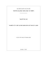 Nghiên cứu chế tạo đế SERS bằng kỹ thuật laser 