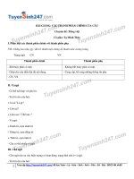 Bài giảng các thành phần chính của câu 