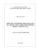 Thiết kế vector biểu hiện mang gen scfv kháng CD47 và biểu hiện protein trong vi khuẩn e coli 