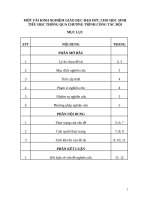 SKKN Giáo dục đạo đức cho học sinh tiểu học thông qua chương trình công tác đội