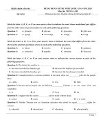   đề chuẩn tiếng anh 2020   đề 8 