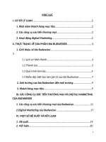 Xác định khách hàng mục tiêu và phân tích các công cụ xúc tiến thương mại, chỉ rõ các hoạt động digital mà doanh nghiệp đã áp dụng đểquảng bá sản phẩm.