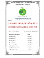 Tiểu luận môn công nghệ xử lý nước cấp  vi sinh vật trong hệ thống xử lí và hệ thống phân phối nước cấp 
