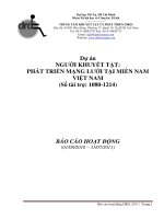 Báo cáo hoạt động dự án người khuyết tật  phát triển mạng lưới tại miền nam việt nam (số tài trợ  1080 1214) 